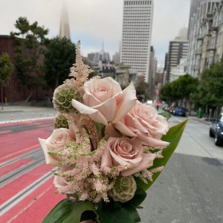 Romance of Honda